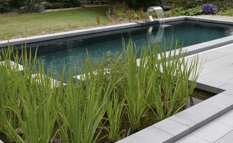 Piscine naturelle avec lagunage